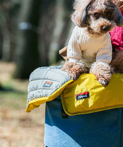 カフェ マット 犬：愛犬と一緒でも安心快適なカフェ選びのポイント