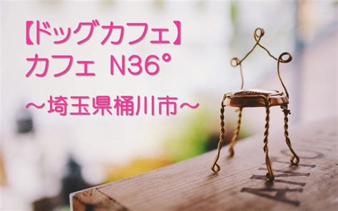 カフェ n36 で充実した時間を過ごすためのガイド