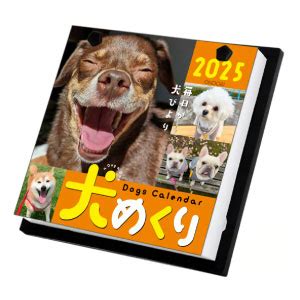 カレンダー 犬 めくりで、愛犬と毎日を楽しく彩ろう