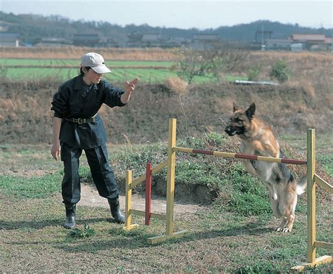 カーペットの汚れから愛犬を守る！飼い主必見のドッグトレーニング