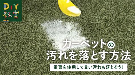 カーペットの消臭に重曹は効果的！ペットにもやさしいお手入れ方法