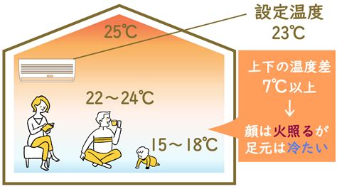 カーペット 猫：快適で健康的な生活のための必需品