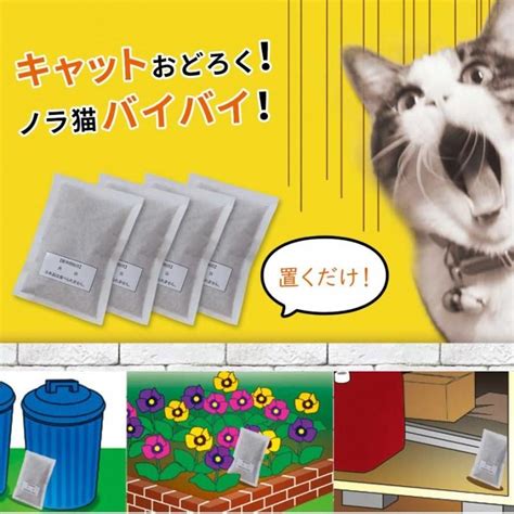 キッチンで猫を寄せ付けないための対策