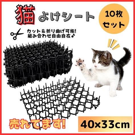 キッチンにおける猫よけ対策：包括ガイド