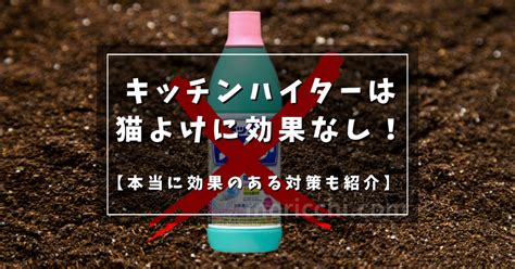 キッチン 猫よけ：あなたの料理を守るための包括的なガイド