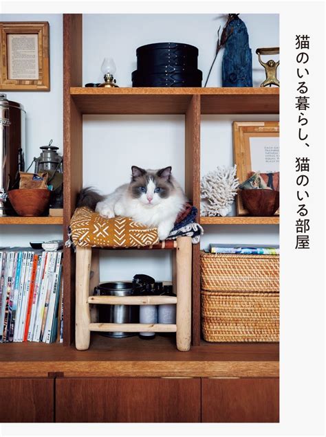 キャッツグッズで愛猫との暮らしを充実させよう