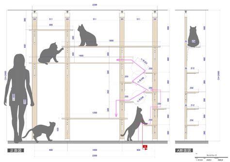 キャットウォークとは？魅力と種類、活用方法を徹底解説