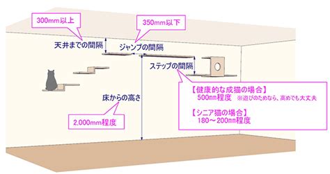 キャットウォークの適切な高さ：猫ちゃんの快適さと安全性を確保する