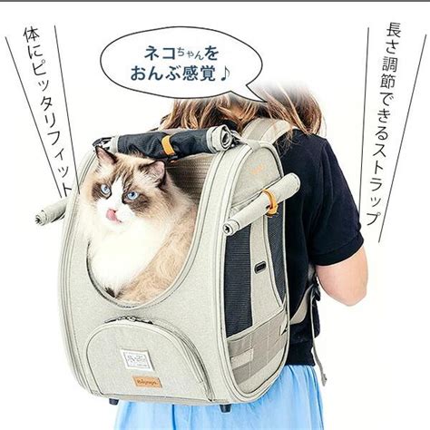 キャットキャリアリュックで愛猫と楽しくお出かけしよう