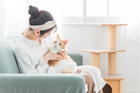 キャットケースで快適な猫ライフを！選び方から使い方まで徹底解説