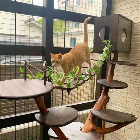 キャットタワーで愛猫に夢のような空間を