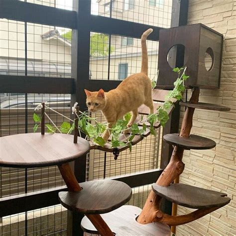 キャットタワー 木製 おしゃれで快適な空間を猫ちゃんに！