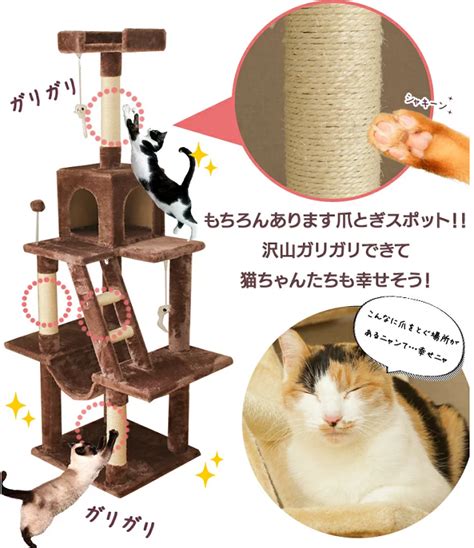 キャットタワー 2匹用を徹底比較！飼い主にも愛猫にも快適な選び方ガイド