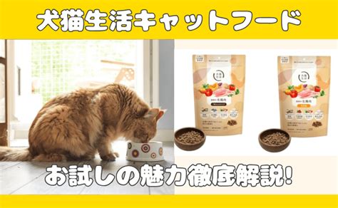 キャットフードのお試しで愛猫にぴったりのご飯を見つけよう！