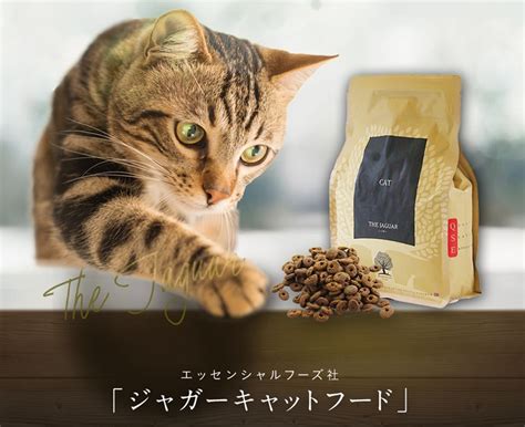 キャットフードの無添加・低価格化が進む！おすすめ商品＆選び方