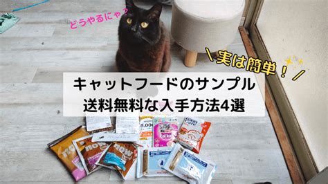 キャットフード無料モニター