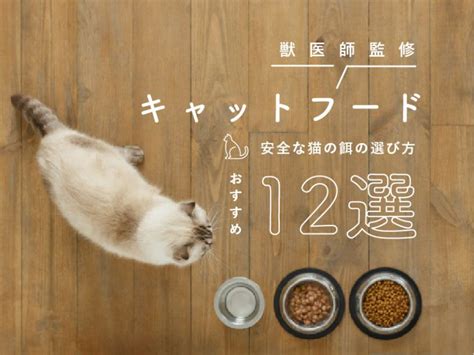 キャットフード無料モニターで賢く猫の食事を節約しよう！