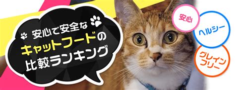 キャットフード無料モニターに参加して愛猫を健康に！