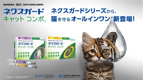 キャット ガードで猫の健康を守る