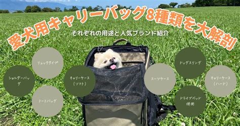 キャリーバッグで愛犬をお出かけ快適に！選び方とおすすめ商品