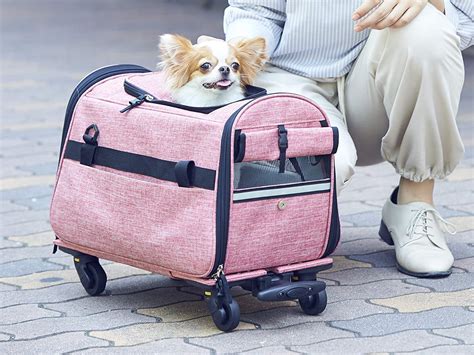 キャリーバッグ 動物の快適な旅のためのガイド