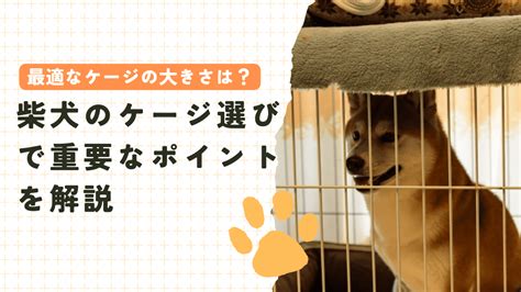 キャリー ケージ選びのポイントと注意点～愛犬に最適なキャリー ケージを見つけよう～