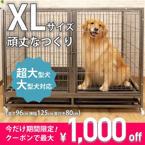 キャリー 大き さ で失敗しない！犬用のケージサイズ選びの決定版