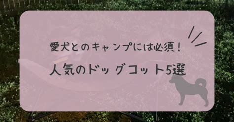 キャンプで愛犬と快適に過ごすための犬用ベッド選び