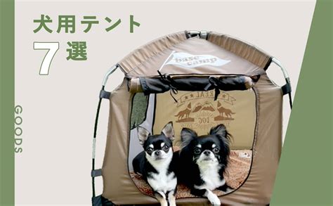 キャンプと愛犬のための便利グッズ