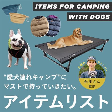 キャンプを愛犬と満喫！快適で安全なキャンプ犬用品ガイド