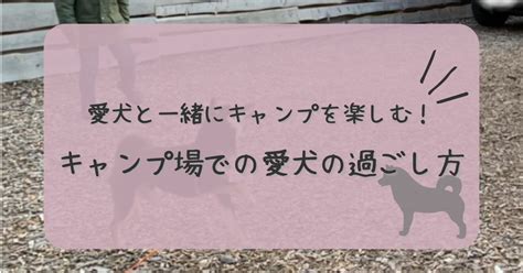 キャンプ場での愛犬との過ごし方：完全ガイド