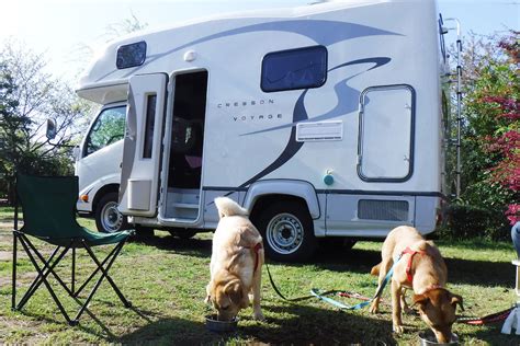 キャンプ場で犬を連れて楽しむための徹底ガイド