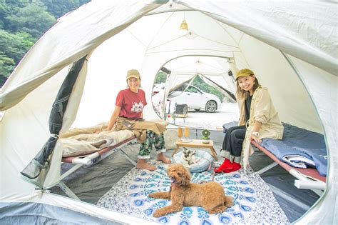 キャンプ場と犬 ～愛犬とのアウトドアライフを楽しむ～