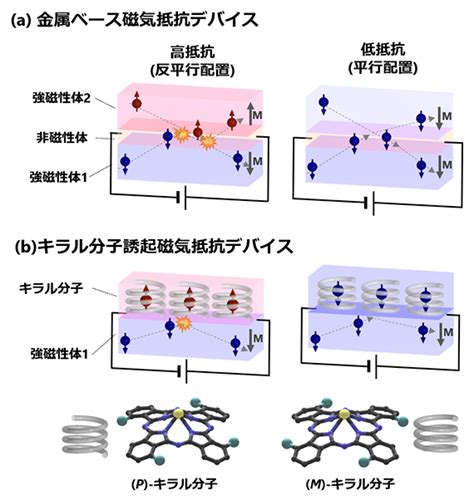 キラル分子の性質と重要性