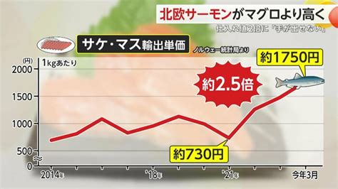 キングサーモン価格の高騰：原因と影響