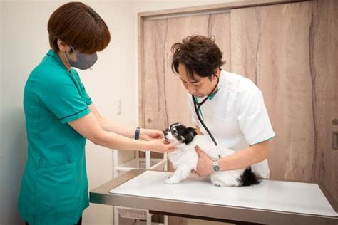 クラーク動物病院でペットの健康管理を最優先にしてみませんか？