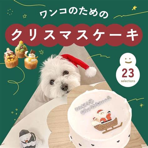 クリスマスツリーが愛犬にとって危険な理由