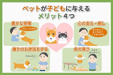 クレジットカードでペットを飼うヒント＆注意点