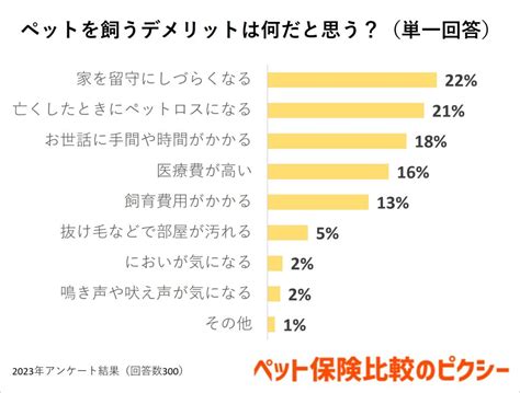 クレジットカードでペットを飼う：最善の選択か？