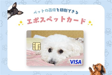 クレジットカード ペット：賢い飼い方のガイド