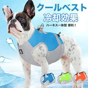 クールで快適！愛犬のための最上級犬服