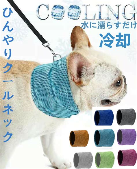 クールネック犬