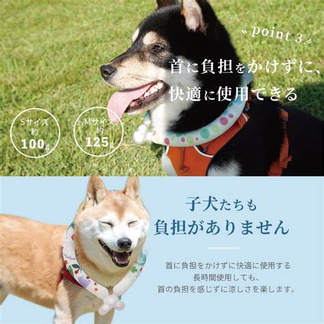 クールベストで愛犬を夏の暑さから守ろう！