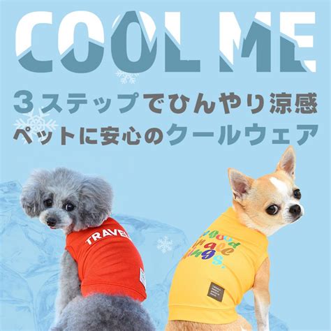 クールベストで愛犬を涼しく快適に！