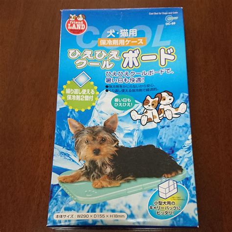 クールボード犬：すべてを網羅するガイド