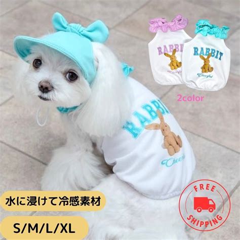 クール犬服とは