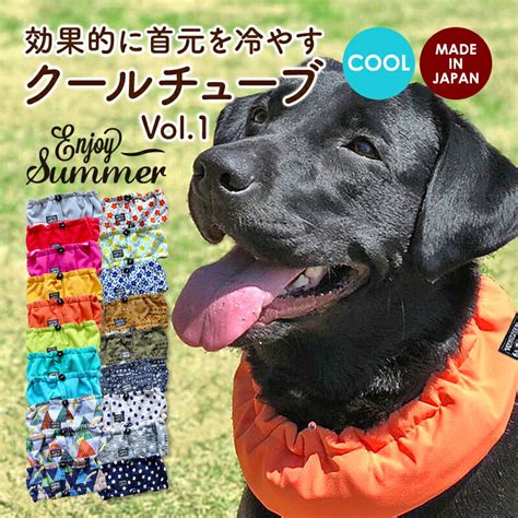 クール ネック 犬