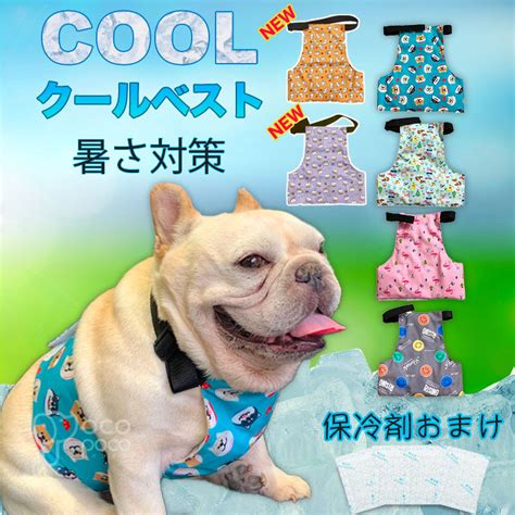 クール ベスト 犬：暑い夏を乗り切るための必需品