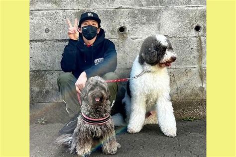 グアムの愛犬たち: 包括的なガイド