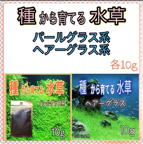 グラスの意味：草との関連